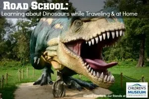 公路学校学习恐龙